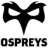 Ospreys